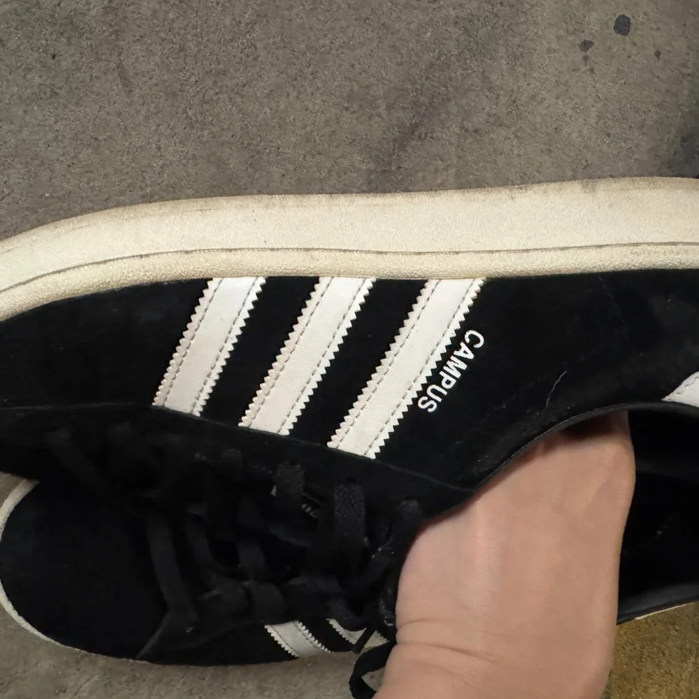 Addidas campus - Picture 2 of 7